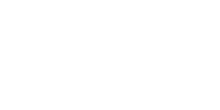Hellmann's